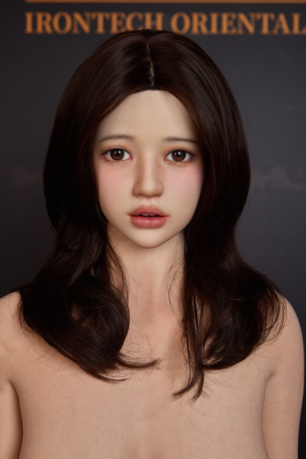 Evie poupée sexuelle (Irontech Doll 151 cm (C-Cup T4 Silicone)