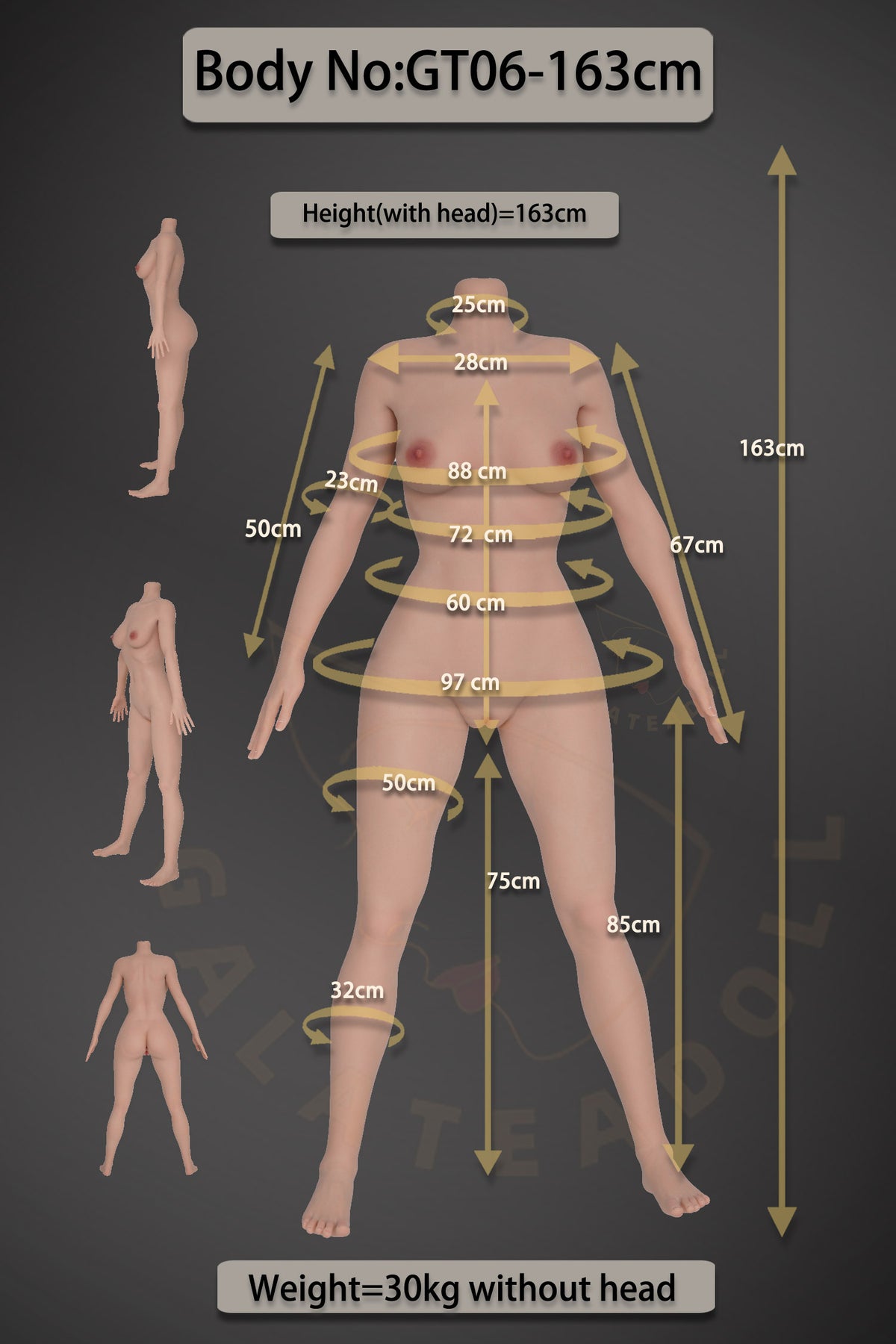 Amandine poupée sexuelle (Galatea Doll 163cm Bonnet D #135 Silicone)