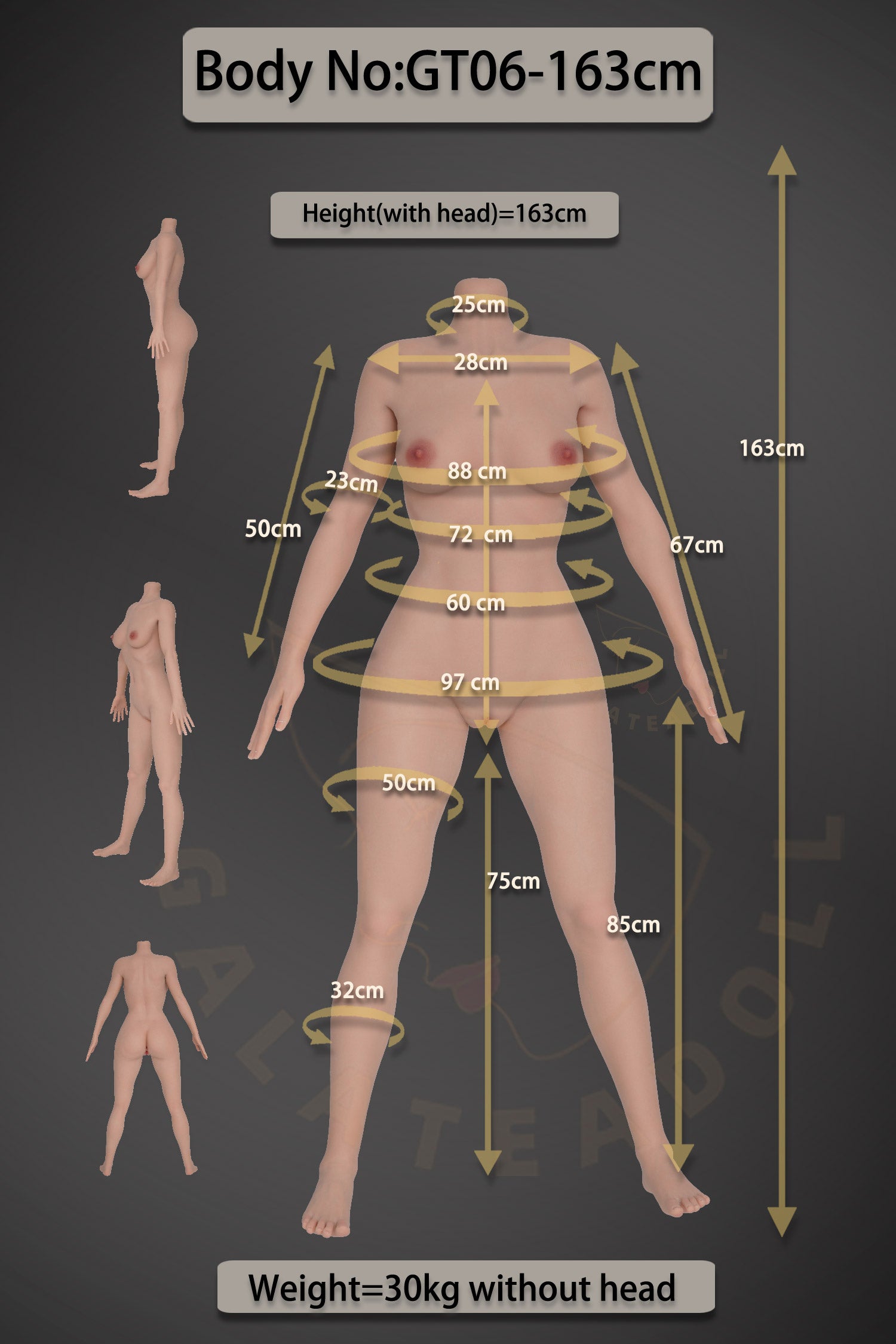 Amandine poupée sexuelle (Galatea Doll 163cm Bonnet D #135 Silicone)