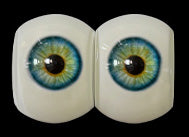 Les yeux (FUDoll d'origine)