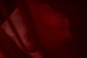 Torse des seins (s) poupée sexuelle (Climax Doll Silicone Pro B-top)