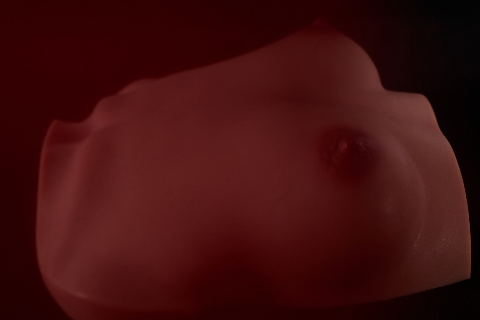 Torse des seins (s) poupée sexuelle (Climax Doll Silicone Pro B-top)