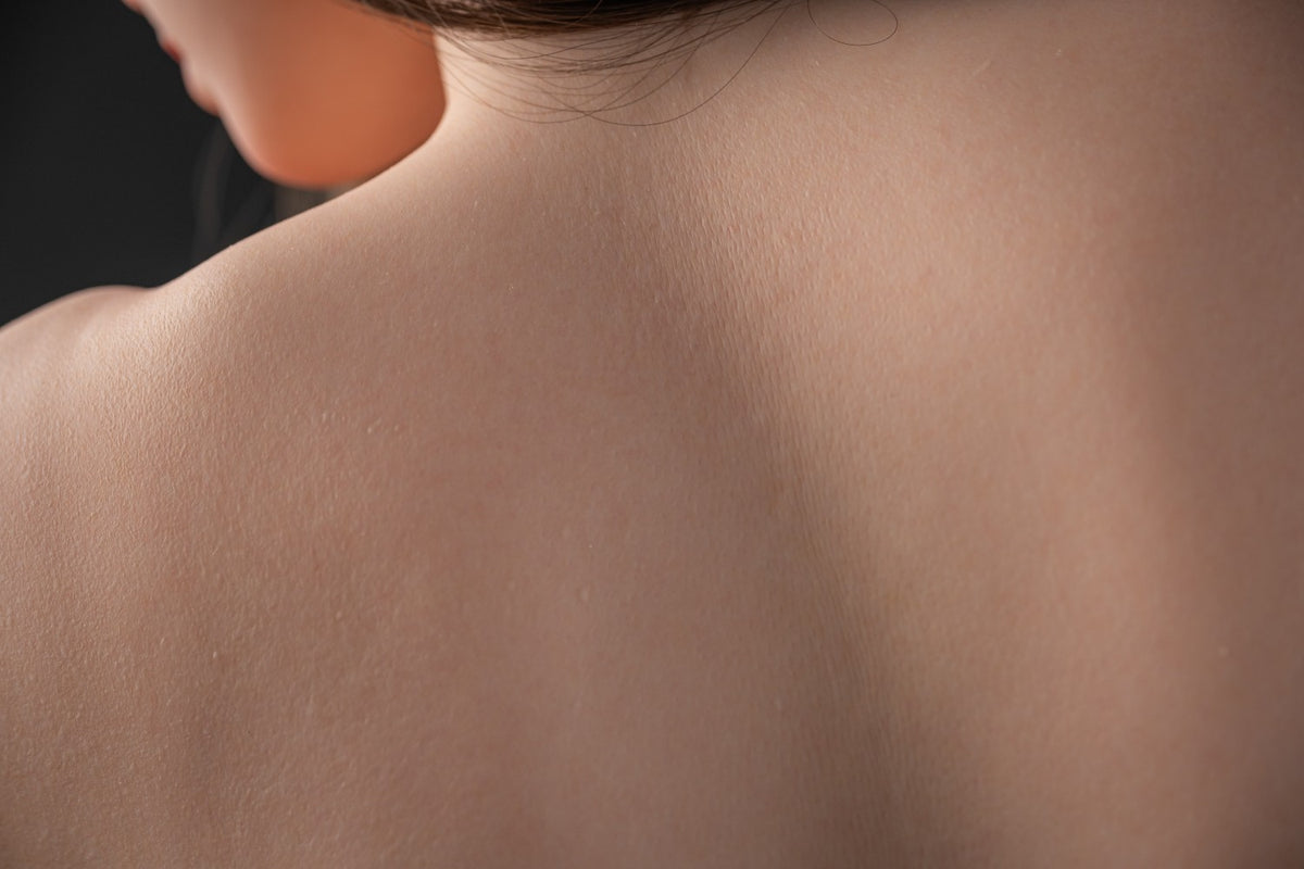 Somi poupée sexuelle (Zelex 168cm Bonnet B KE03-1 Silicone)