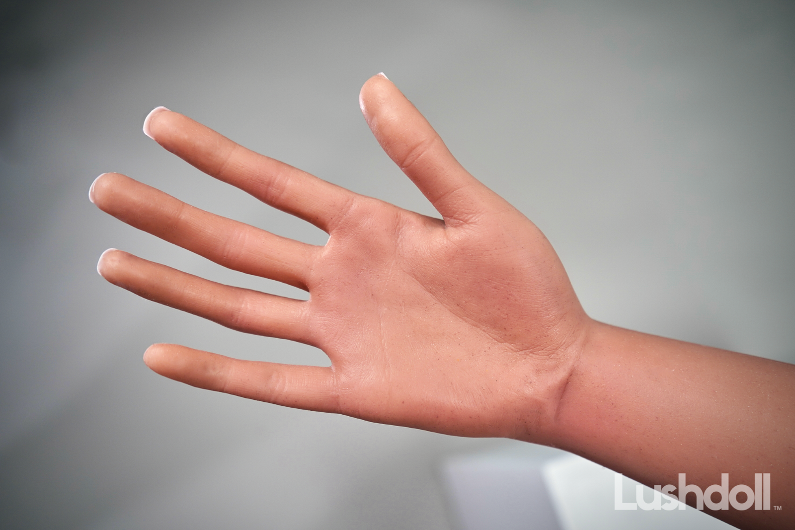 Reine poupée sexuelle (Lushdoll 158 cm (C-Cup #S23 Silicone)