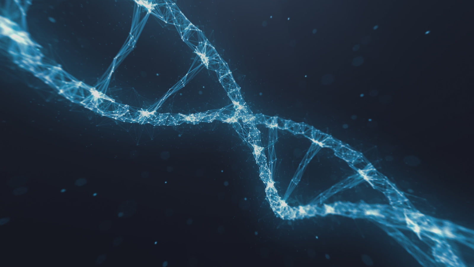 YO-YO poupée sexuelle (XT Doll Bonnet D 150 cm #XT-byx4-A Silicone)