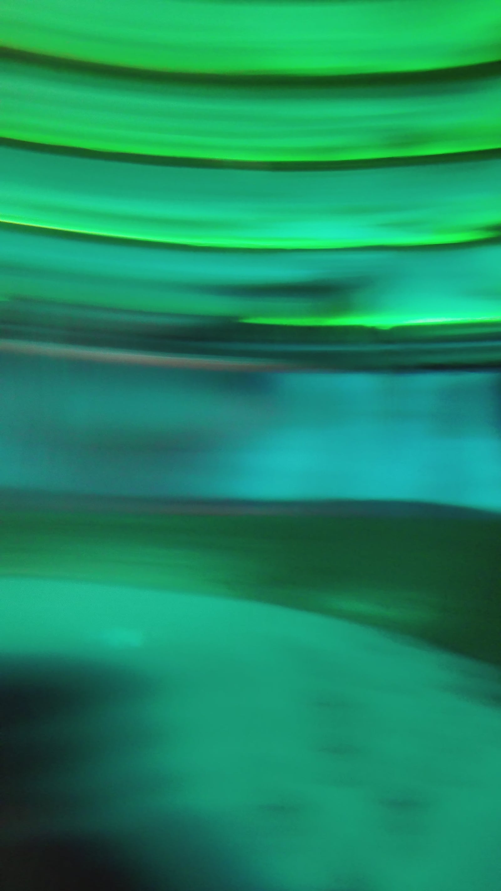 Nicole poupée sexuelle (Zelex 162 cm Bonnet D GE68-1 Silicone)