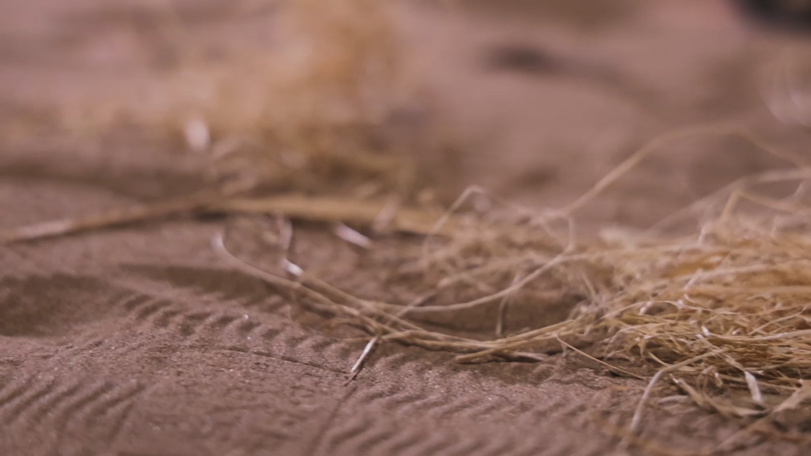 L'île poupée sexuelle (Dolls Castle 156 cm (E-Cup #A1 TPE)