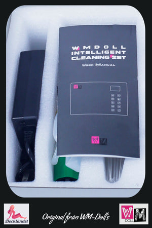Machine de nettoyage intelligente (WM Doll)